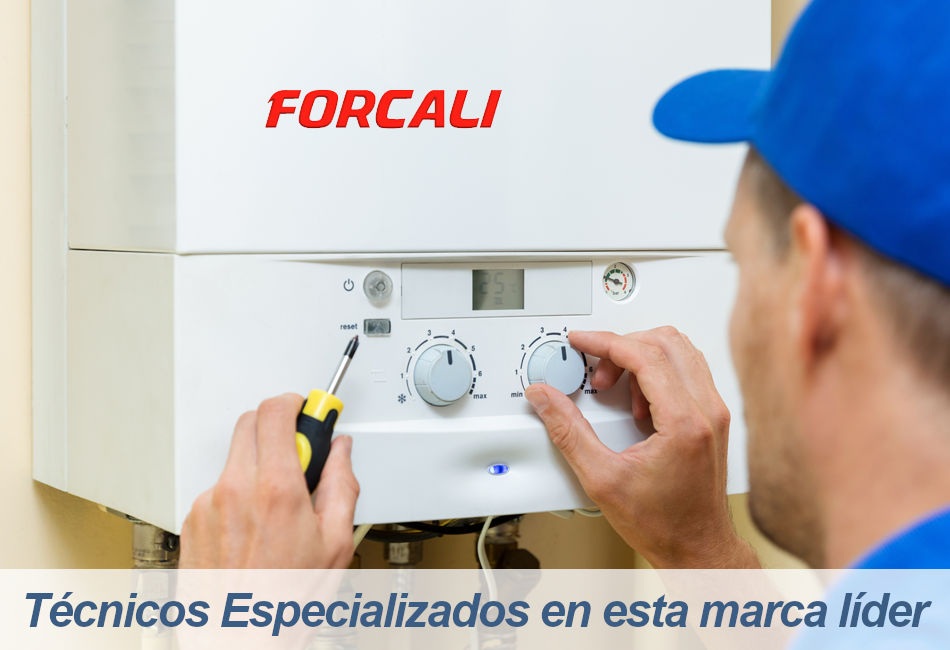 Forcali Servicio Técnico