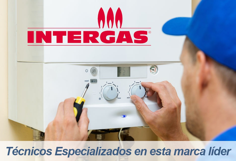Intergas Servicio Técnico